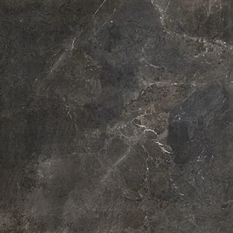 Black Diamond X1010380X6