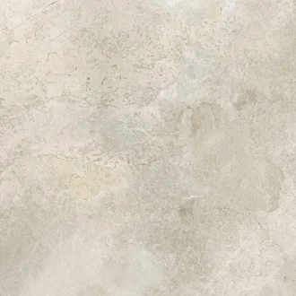 Platinum White X1010384X6