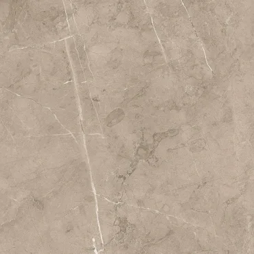 Керамогранит Porcelanite Dos Serie 8215 Vision 50x50 матовый