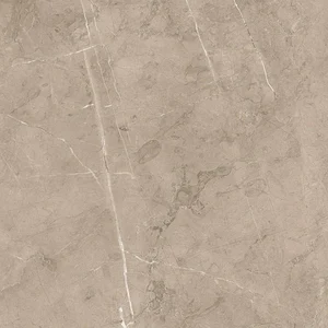 Керамогранит Porcelanite Dos Serie 8215 Vision 50x50 матовый