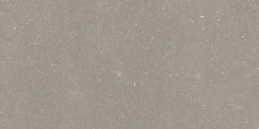 Керамогранит Porcelanosa Adda Topo 100305228 29,7x59,6 матовый