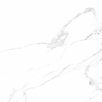 Artic Nature 100244511