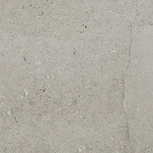 Керамогранит Porcelanosa Berna Acero P92023591 120x120 матовый