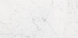 Керамогранит Porcelanosa Bianco Pul. 58,6x118,7 глянцевый
