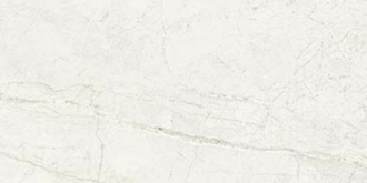 Colorado Bone 100355105