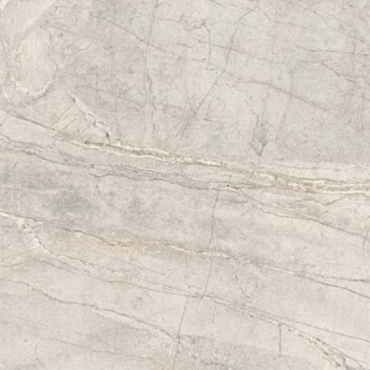 Керамогранит Porcelanosa Colorado Silver 100355035 120x120 матовый