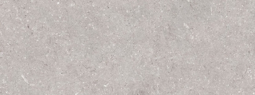 Плитка Porcelanosa Coral Acero 100330286 45x120 матовая