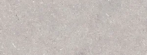 Плитка Porcelanosa Coral Acero 100330286 45x120 матовая