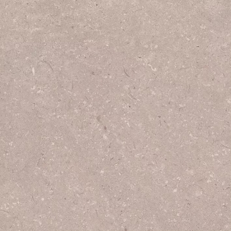 Coral Topo L 100330179
