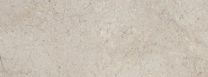 Плитка Porcelanosa Dorcia Acero 100354961 45x120 матовая