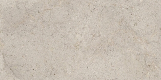 Dorcia Acero L 100355118