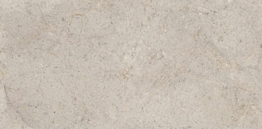 Керамогранит Porcelanosa Dorcia Acero L 100355118 60x120 матовый