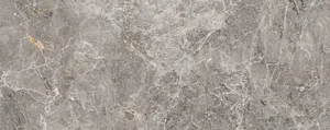 Керамогранит Porcelanosa Elegant Grey Brillo 100303462 59,6x150 глянцевый