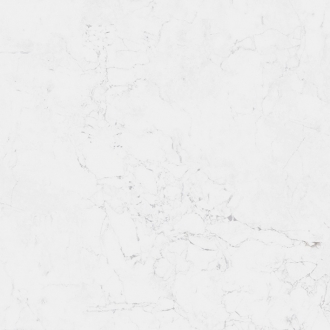 Fontana Matt L 100337224
