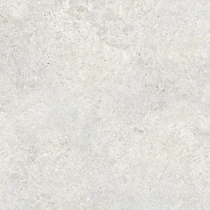 Керамогранит Porcelanosa Hannover Bone Ant. 100310761 120x120 матовый