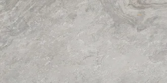 Image Silver 100202111