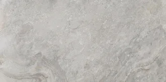 Image Silver 100202669