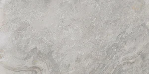 Керамогранит Porcelanosa Image Silver 100202669 59,6x120 матовый