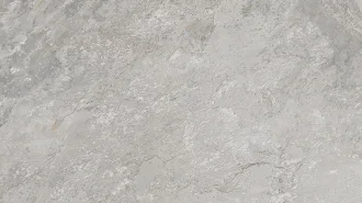 Image Silver 100293008