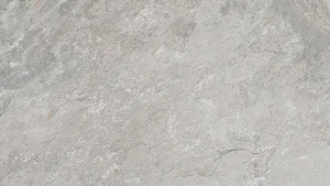 Керамогранит Porcelanosa Image Silver 100293008 33,3x59,2 матовый