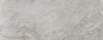 Image Silver 100293271