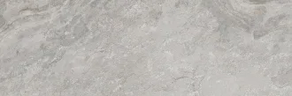 Image Silver 100295171