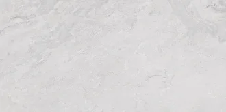 Image White 100202103