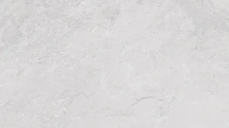 Image White 100290852