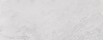 Image White 100293209