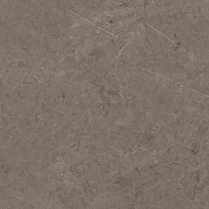 Керамогранит Porcelanosa Karachi Acero P92042861 120x120 матовый