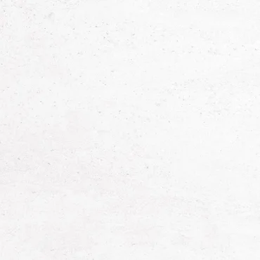 Керамогранит Porcelanosa Madagascar Blanco 100215659 59,6x59,6 матовый