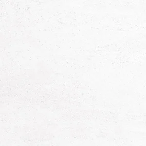 Керамогранит Porcelanosa Madagascar Blanco 100215659 59,6x59,6 матовый