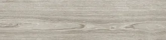 Minnesota Ash Smart 100216270