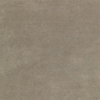 Nast Dark V54601031
