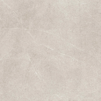 Saddle Topo L 100364158