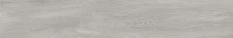 Tanzania Silver 100297146