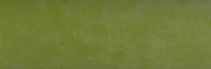 Плитка Petracers Primavera Fondo Verde 32,5x97,7 глянцевая