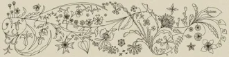 Primavera Platinum A1