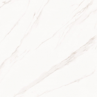 Allure Light PR142