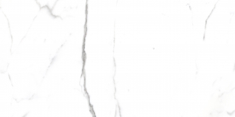 Salvatore PR207