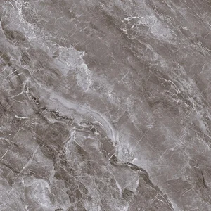 Керамогранит Primavera Хасия TP66M21 60x60 матовый