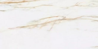 Callacata Amber