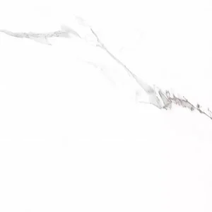 Керамогранит Prime Ceramics Carrara Rect 60x60 матовый