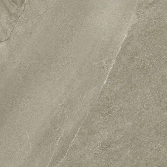 Halley Mud