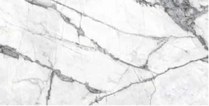 Керамогранит Prissmacer Invisible White Rect. Pulido 60x120 полированный