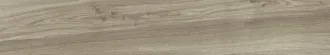 Miro Terra