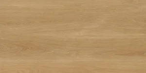Керамогранит Protiles PT12F7041 Albero Beige 60x120 матовый
