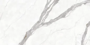 Керамогранит Protiles PT12F7002 Calacatta 60x120 матовый