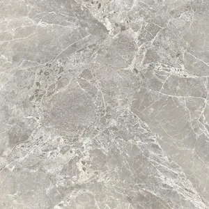 Керамогранит Provenza Unique Marble Moon Grey Lappato ELDX 120x120 лаппатированный