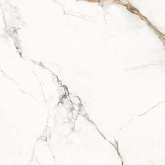 Unique Marble Paonazzetto Lappato ELDV
